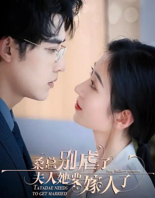 千灯照影 剧集 在线观看